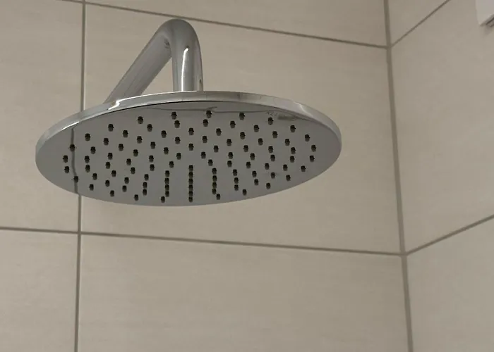 Апартаменты Alpinherz Bio Penthouse Шладминг